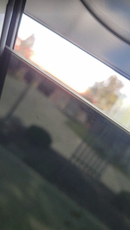 Image #5 from Reggie